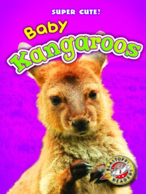 cover image of Baby Kangaroos